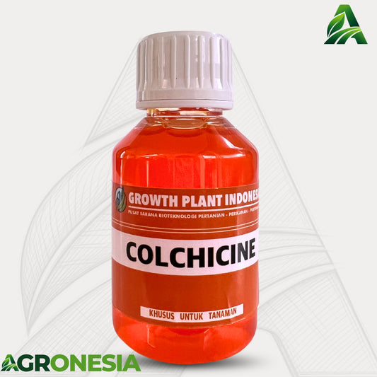 Hormon Colchicine 100 ML Pembesar Tanaman