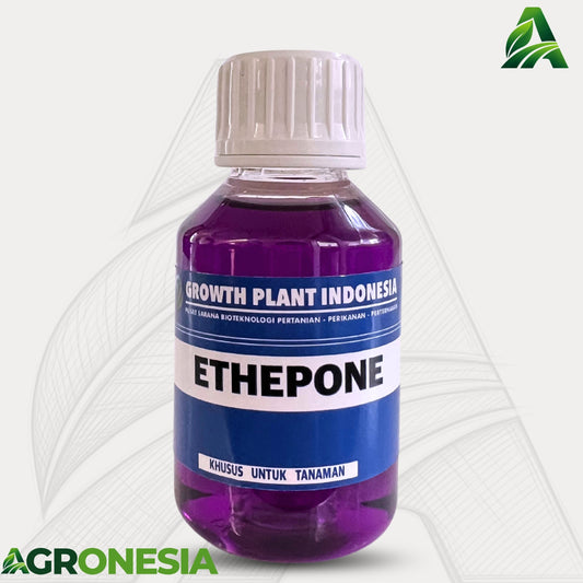 Ethephon 100 ML Hormon Pematang Buah Tanaman