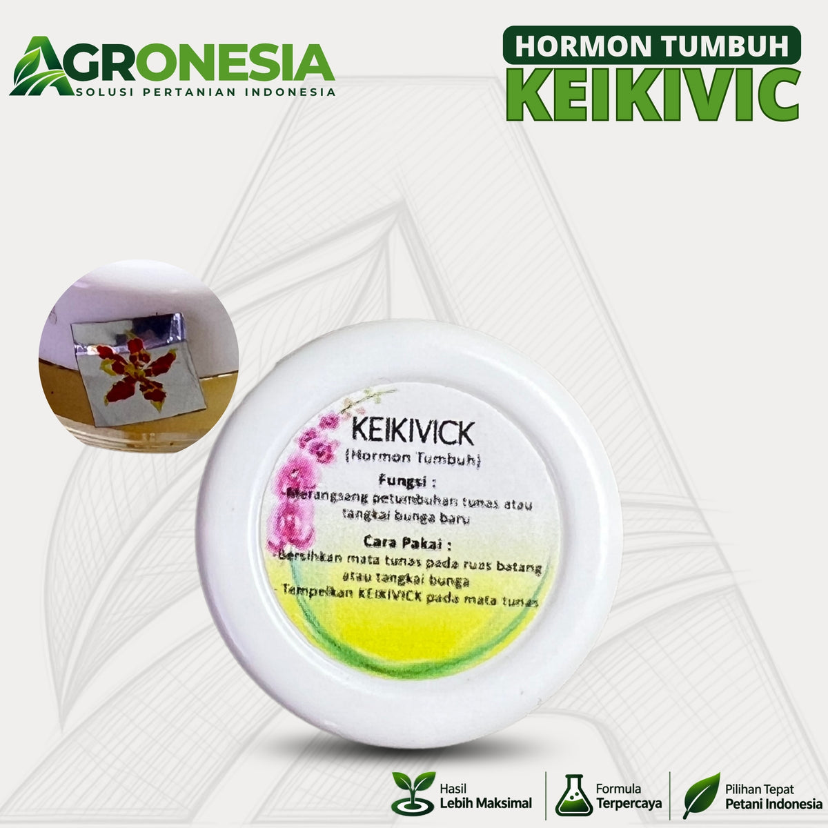 KEIKIVICK 5 Gram Hormon Perangsang Tunas Tanaman