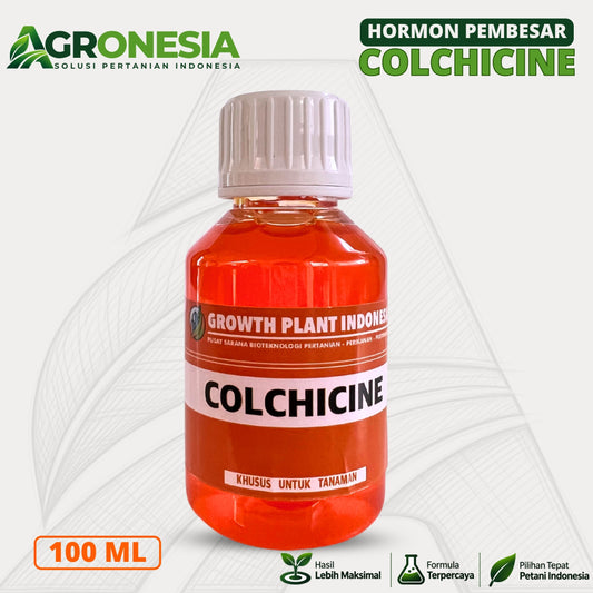 Hormon Colchicine 100 ML Pembesar Tanaman