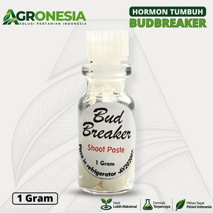 Bud Breaker 1 Gram Hormon Perangsang Tunas Tanaman