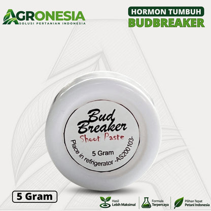 Bud Breaker 5 Gram Hormon Perangsang Tunas Tanaman