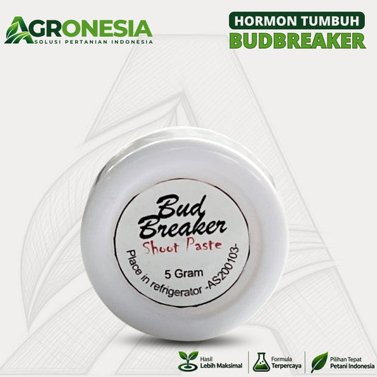 Bud Breaker 5 Gram Hormon Perangsang Tunas Tanaman